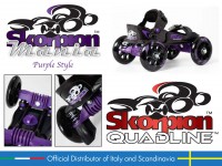 Skorpion Quadline-Street Purple Small