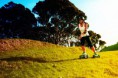 /album/un-po-di-utilizzi-/grass1-small-jpg/